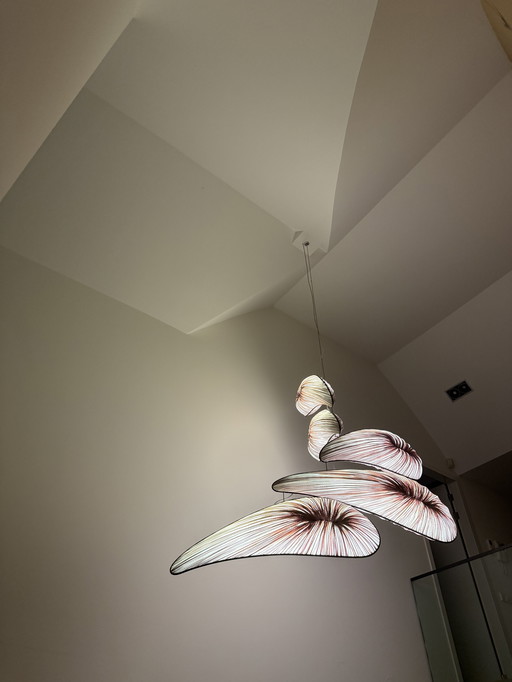 Aqua Creations Pendant Lamp