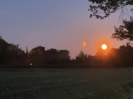 Image 1 of Lámpara de araña Wim Mulder