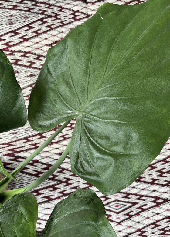 Image 1 of Vintage Marokkaans kleed (extra dik)