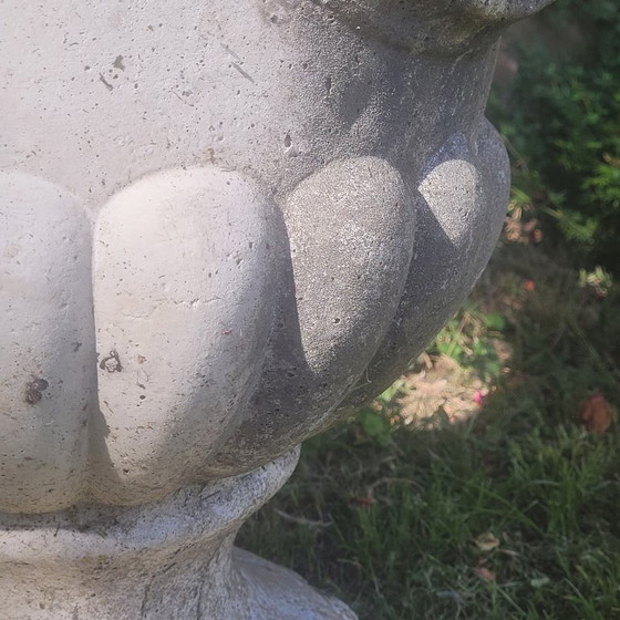 Image 1 of Vazen Medicis Zeer Groot Paar