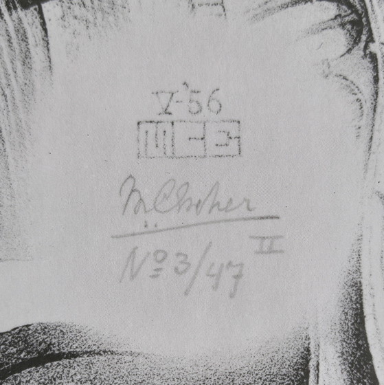 Zeefdruk van M.C. Escher. Handgesigneerd. – Litho's & Zeefdrukken, Aluminium, Paper (photo 7 of 13)