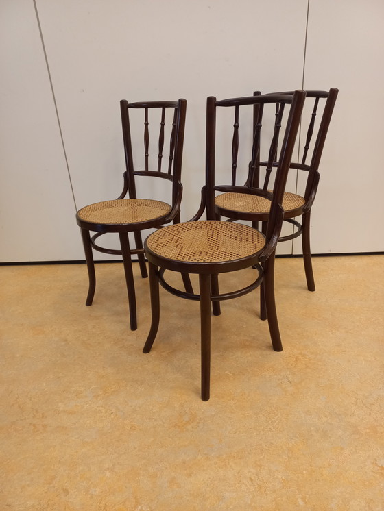 Image 1 of Satz von 3 Café-Stühlen im Thonet-Stil
