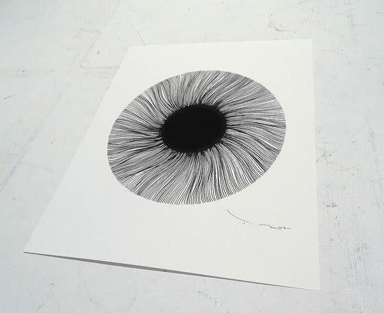 Image 1 of Tehos - Zwart Oog 2024 - BS2