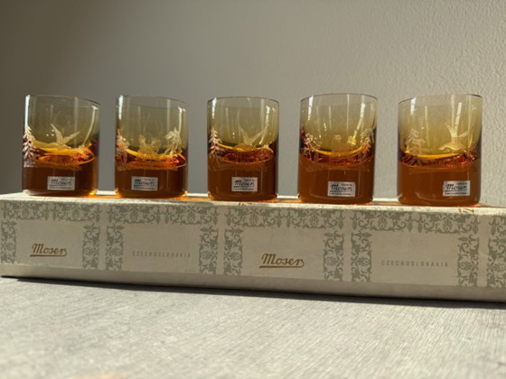 Moser Tsjechoslowakije Amber Kristallen Whiskyglazen Jachtvogels Doos, Gesigneerd – Glazen & Karaffen (photo 3 of 12)