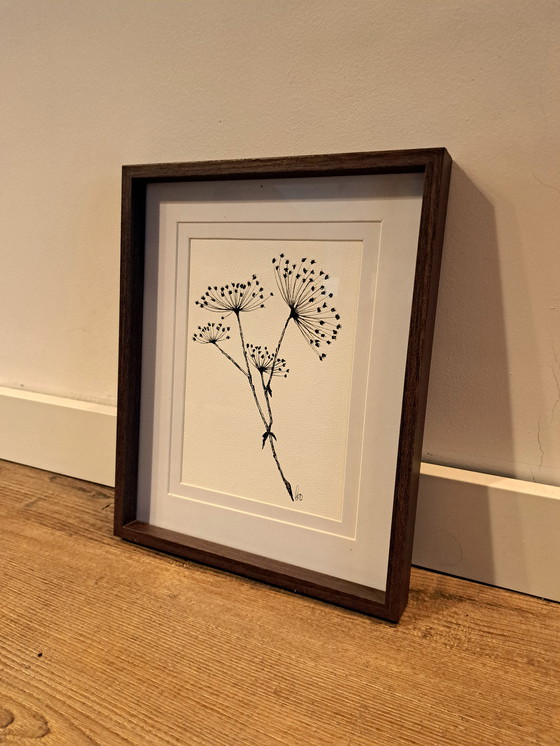 Image 1 of Illustration Hogweed | Dark brown chest