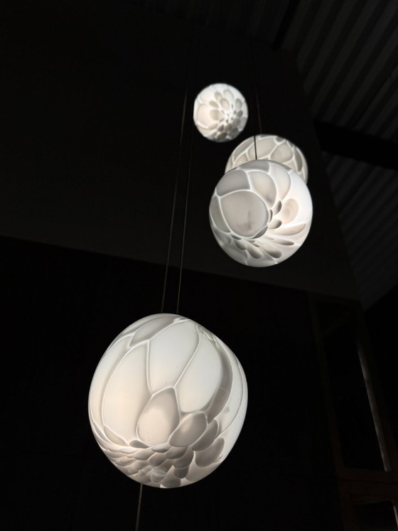 Image 1 of Lampada a sospensione Bocci 118.5