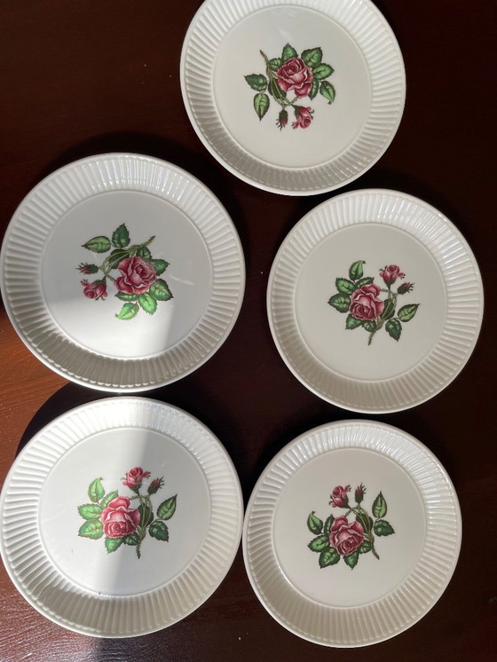 Image 1 of Wedgwood Moss rose