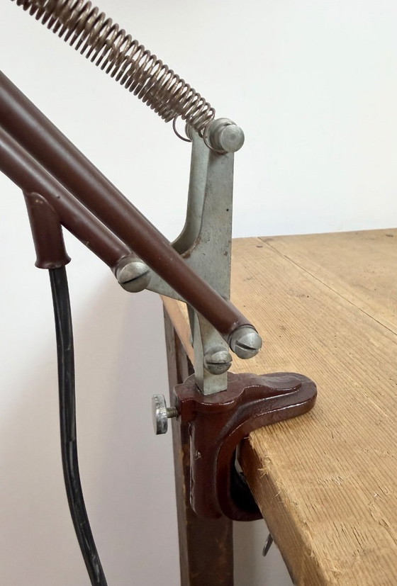 Image 1 of Vintage Brown Architect Table Lamp from Napako, 1950s