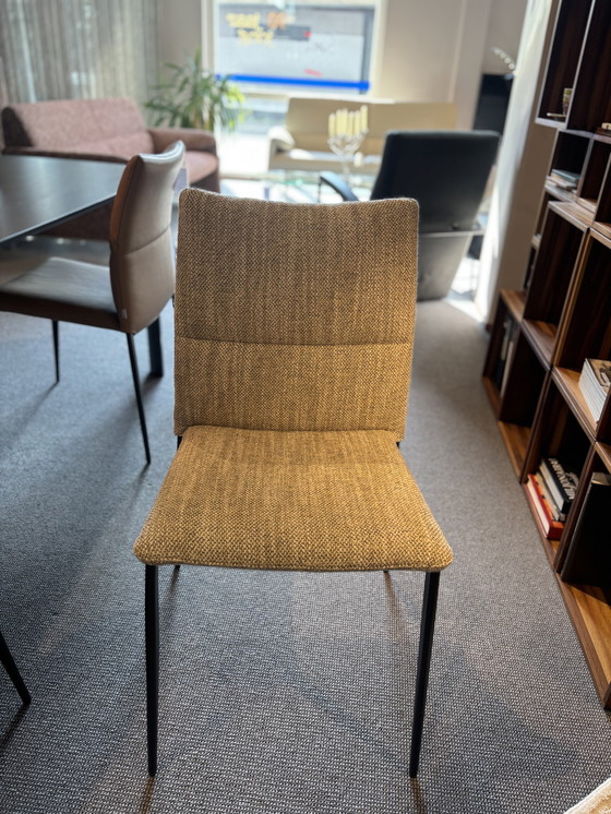 Image 1 of 6x Esszimmerstuhl Ascot von Brand Jori