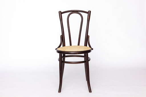 Fischel Bugholzstuhl - Anfang 20. Jahrhundert Thonet-Stil, Buchenholzrahmen mit neuem Rohrsitz, antiker Vintage-Stuhl