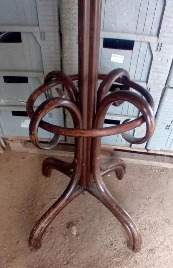 Image 1 of Appendiabiti Thonet originale