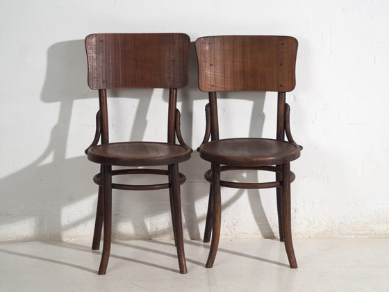 Pair of Thonet style bentwood chairs with curved board back – Central Europe, circa 1920 – Dining chairs (photo 21 of 40)