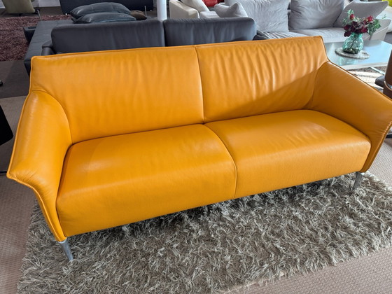 Leolux Mayon 3-Sitzer Sofa – 3-5 Sitzer Sofas, Leder (photo 4 of 10)