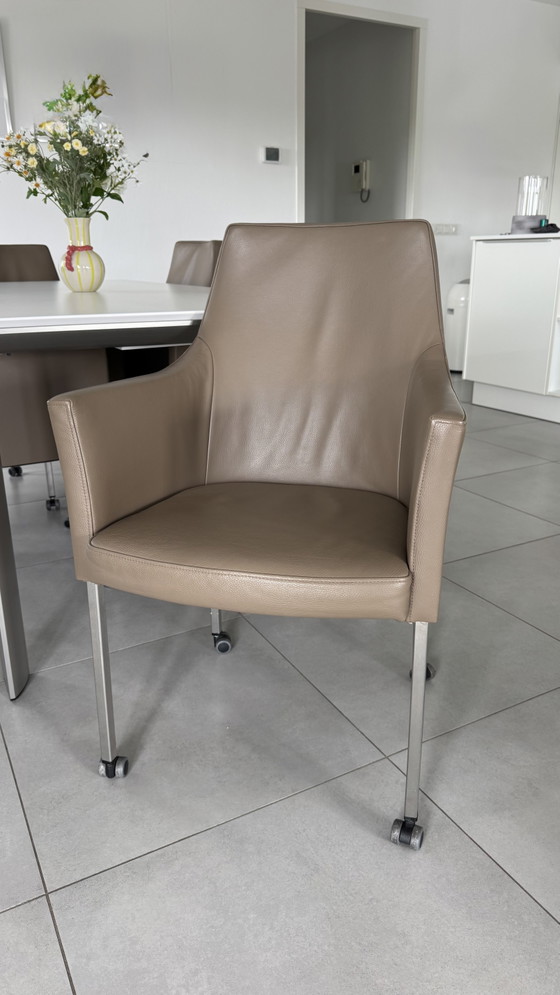 6 Sedie da pranzo di Brees New World – Bree's New World, Leather (photo 3 of 8)