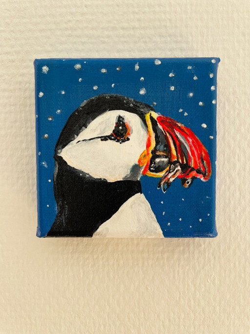 portrait d'un macareux