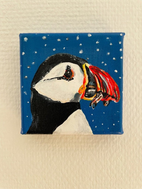 Image 1 of portrait of a puffin