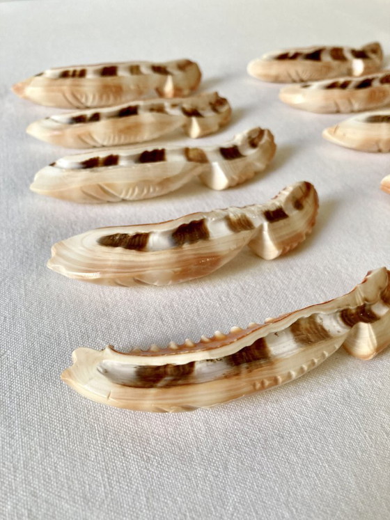 Image 1 of 10 fischförmige Messerauflagen