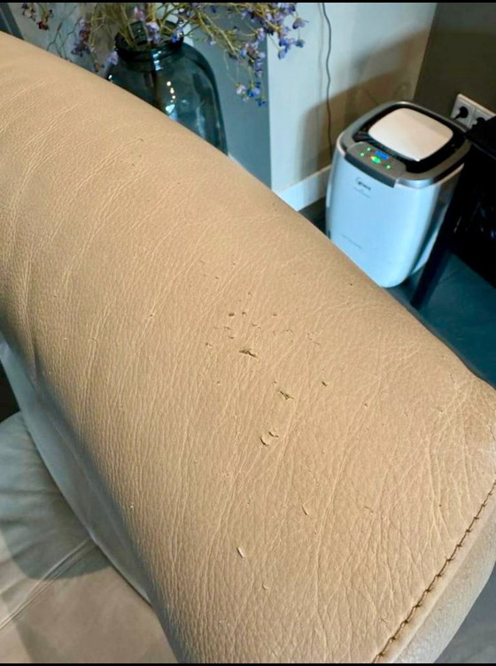 Image 1 of Leolux Helical recliner - electrically adjustable