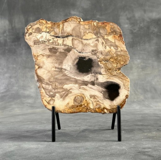 Bois fossilisé de Sooka, fabrication sur mesure standard (neuf)