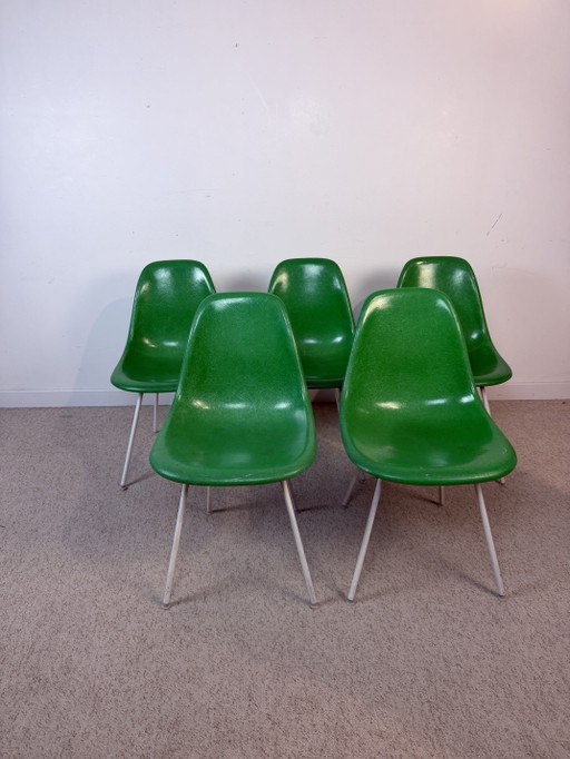 5 chaises Herman Miller