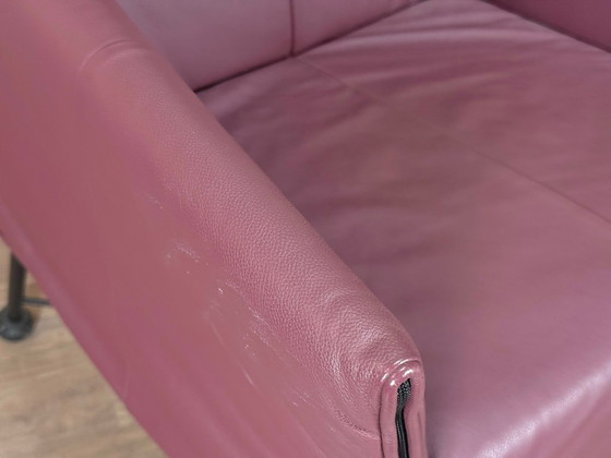 Montis Charly Purple – Dining chairs, Leather, Metal (photo 13 of 16)