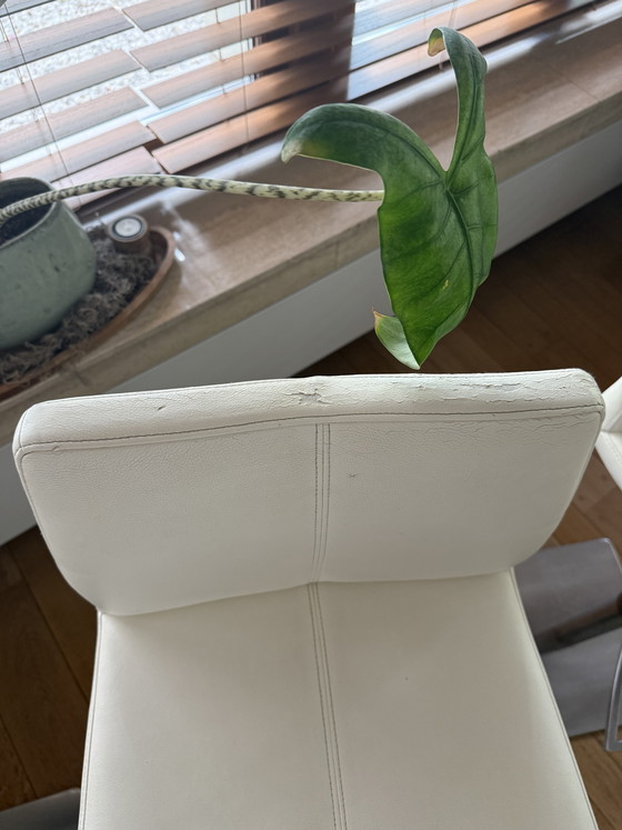 Image 1 of Barstoelen 