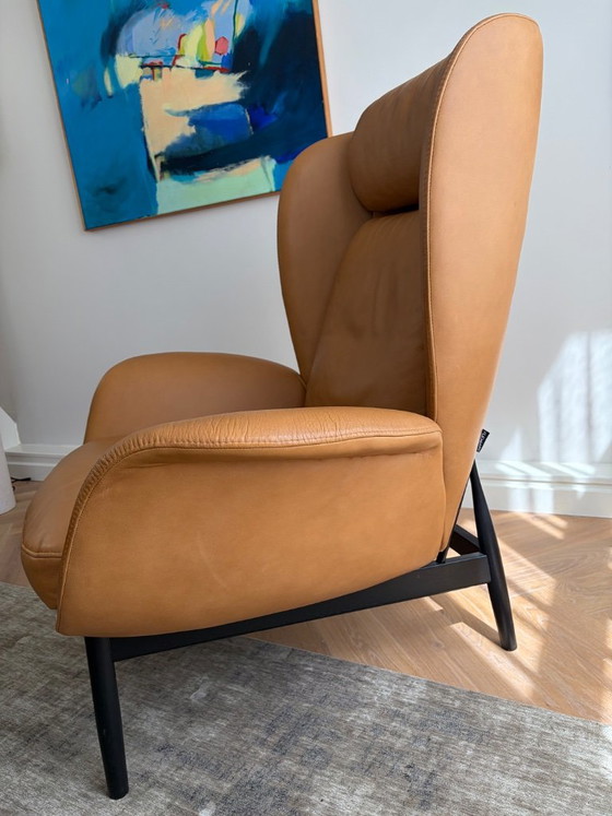 Poltrona Wing di design Ibsen – Flexlux, Poltrone, Leather, Wood (photo 3 of 5)