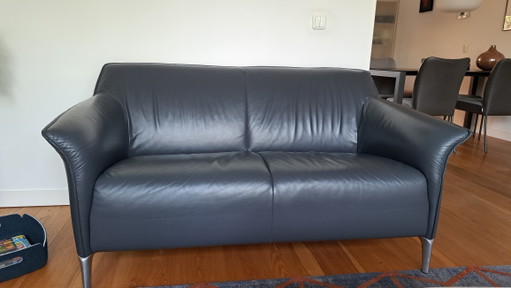 Leolux Mayon 2 zitsbank – banken, Leather, Metal