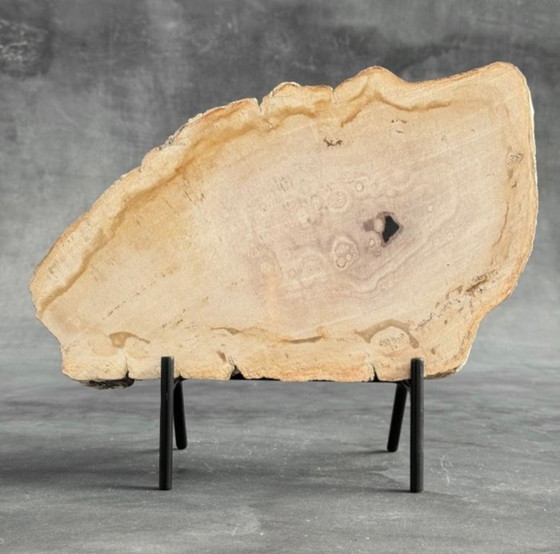 Image 1 of Madera fosilizada de Sooka, soporte hecho a medida (nuevo)