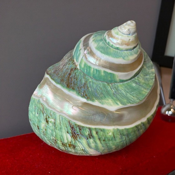 Image 1 of Juego de escritorio con luz de concha náutica y bolígrafo, años 40