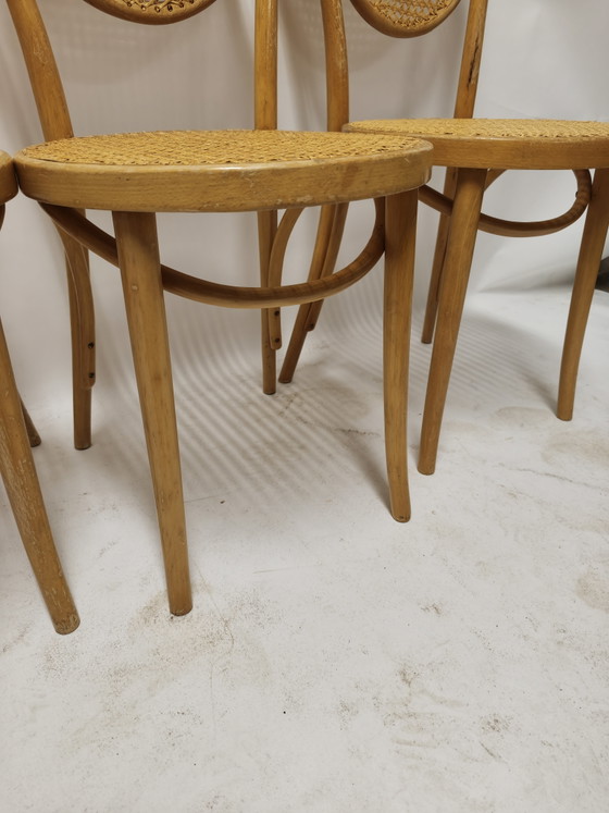 Set Van 4 Vintage Thonet Caféstoelen – ZPM Radomsko – Eetkamerstoelen, Rattan, Wood (photo 5 of 8)