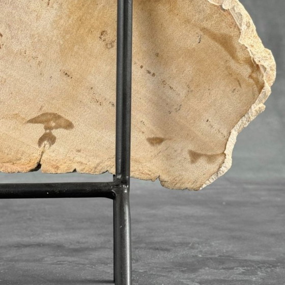 Image 1 of Madera fosilizada de Sooka, soporte hecho a medida (nuevo)