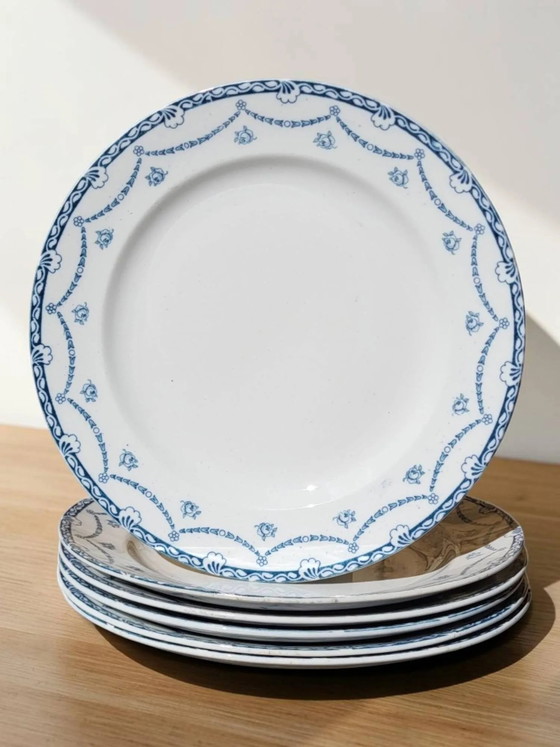 6 platos de loza inglesa "Cheltenham" — F. Winkle & Co – Porcelain, Art Nouveau (photo 8 of 8)