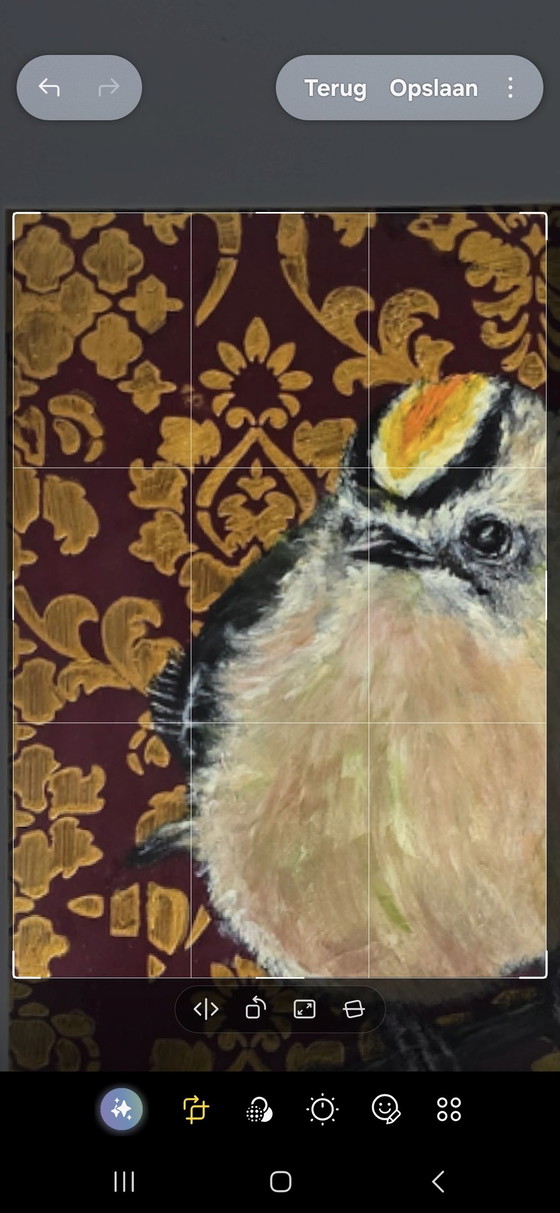 Goldcrest – Paintings & Drawings, Paper, Canvas (photo 3 of 6)