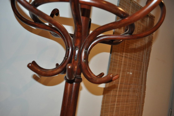 Antique Restored Hungarian Standing Coat Rack from Thonet – Leather, Wood (photo 4 of 8)