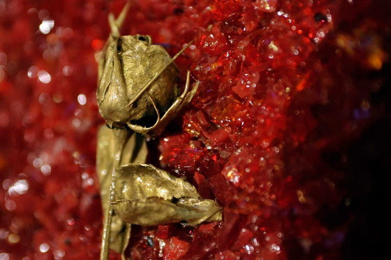 Image 1 of De absolute elegantie van materie en kristal door Vincenzo Marega