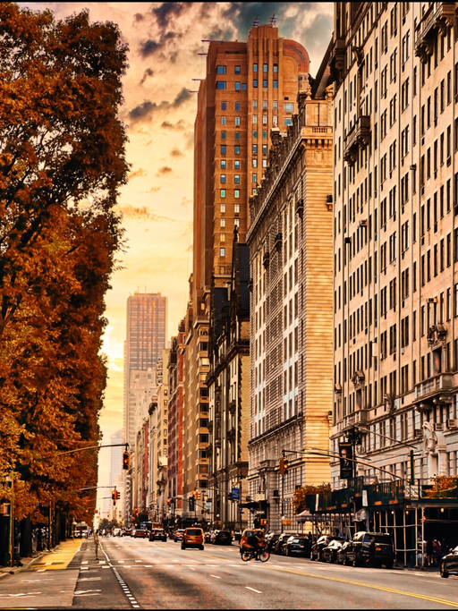 Fabian Kimmel - Vista de la calle en otoño en Central Park