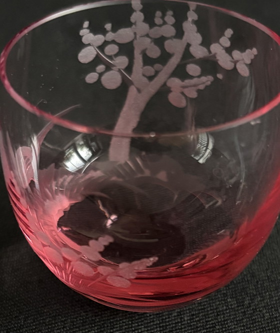 Ensemble de 5 verres à shot Moser Karlsbad « Culbuto » – Rowland Ward « Oiseaux sauvages » (photo 15 of 15)