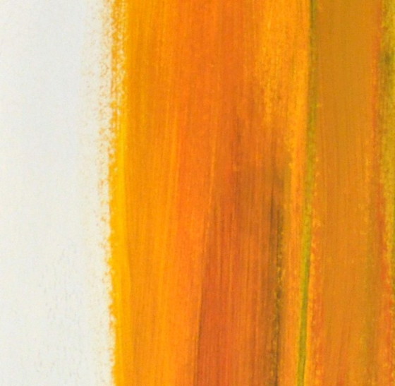 Image 1 of Phibration #1