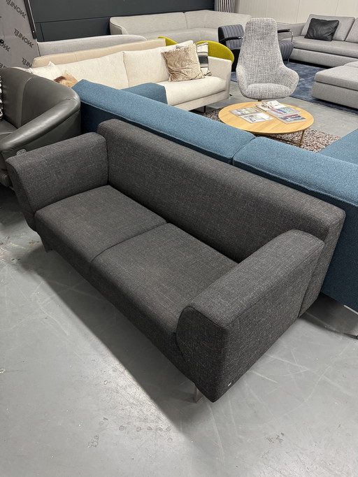 Rolf Benz Linea Zweisitzer