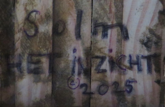 Image 1 of Eric van Solm - « L'intuition »