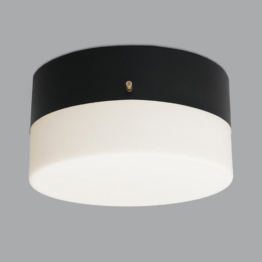 Plafonnier en verre blanc opale, années 1950