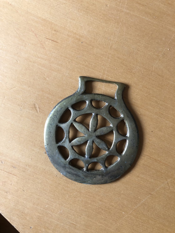 Image 1 of Paarden brasses