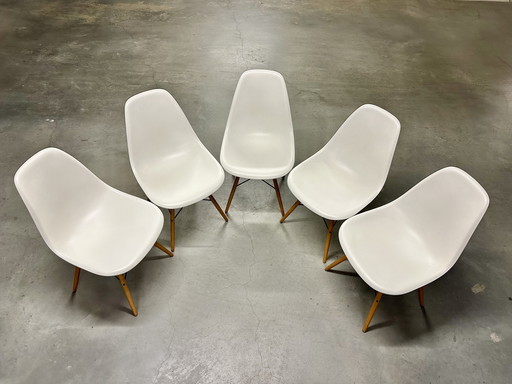 Vitra - Eames Plastic Side Chair RE DSW (5 Pieces - Original)
