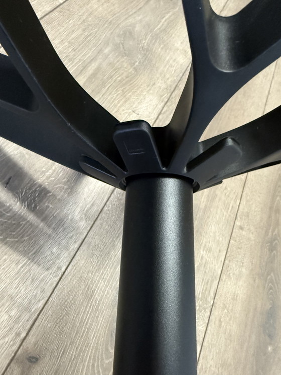 Image 1 of Flower Coat Stand by Cascando