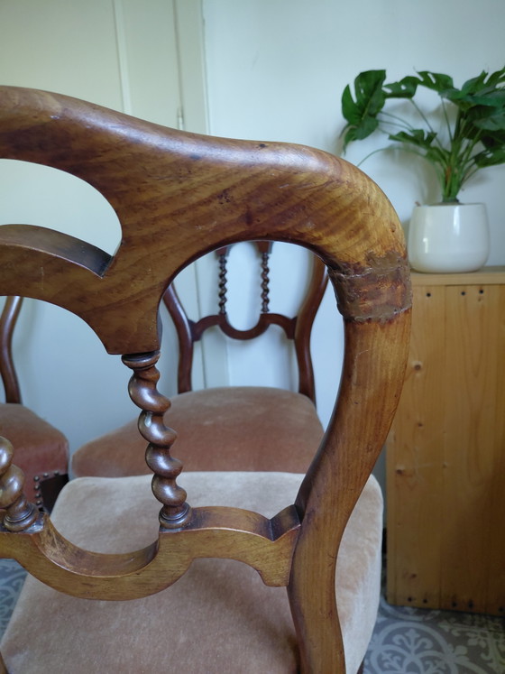 Juego de 4 sillas de comedor antiguas estilo Biedermeier - Buen estado – Velvet, Wood (photo 11 of 13)