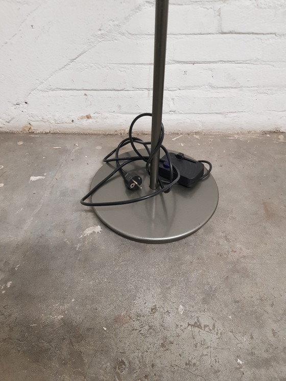 Image 1 of Aureola Grijs