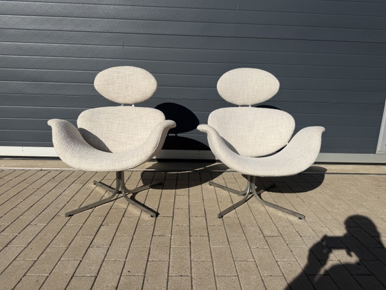 2x 1. Edition Artifort Big Tulip Neuwertig! Pierre Paulin in Beige/Ecru Bouclé – Sessel, Textile (photo 10 of 12)