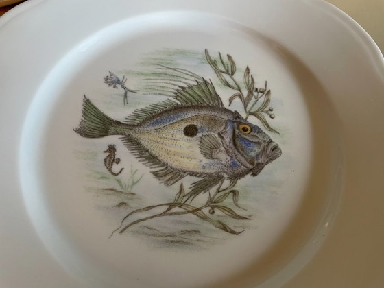 Image 1 of Piatti e ciotola in porcellana di Limoges con pesce francese
