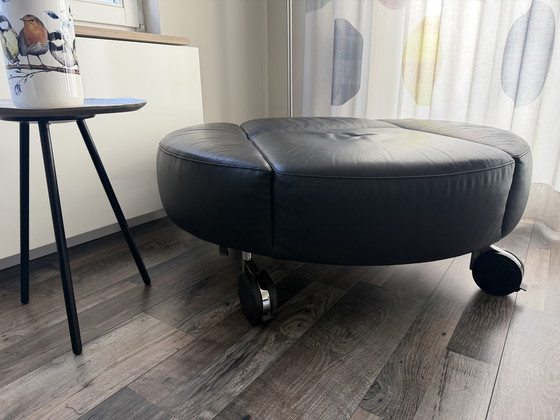 Image 1 of Leolux Pastille